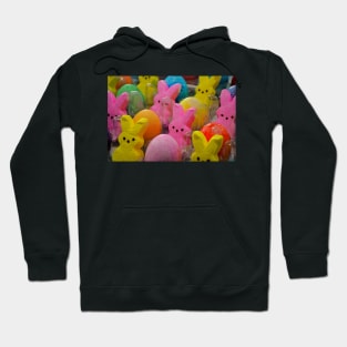 Eggs and Bunnies Study 1 Hoodie